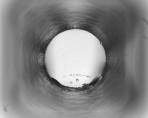 X0000101440036200807281032