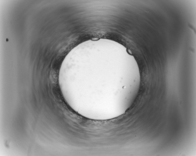 X0000101440037200807281032