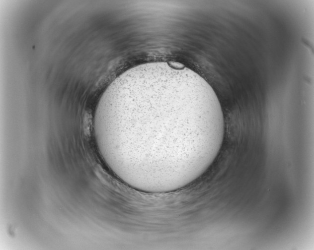 X0000101440038200807281032