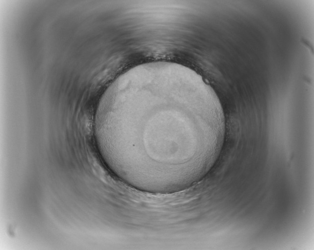 X0000101440039200807281032