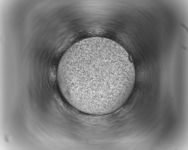 X0000101440040200807281032