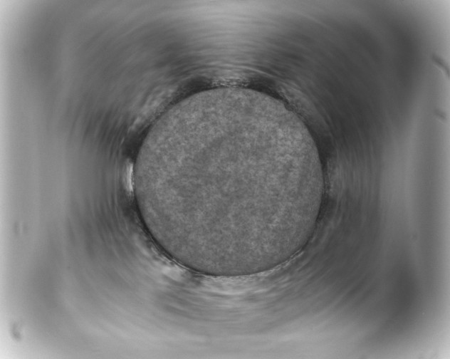 X0000101440041200807281032