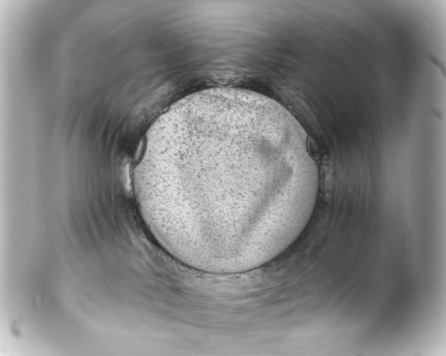 X0000101440042200807281032