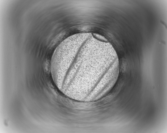 X0000101440044200807281032