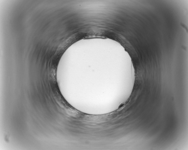 X0000101440045200807281032