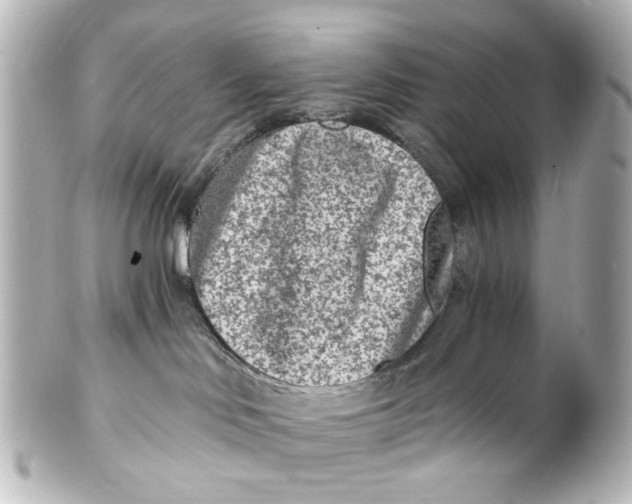 X0000101440046200807281032