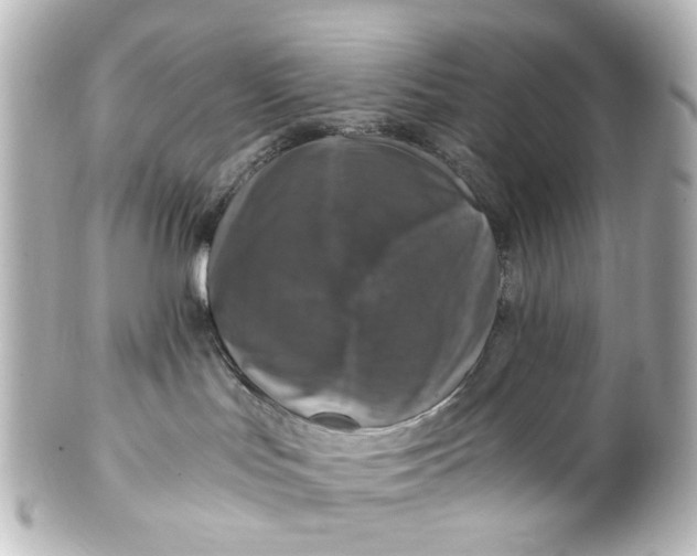 X0000101440047200807281032