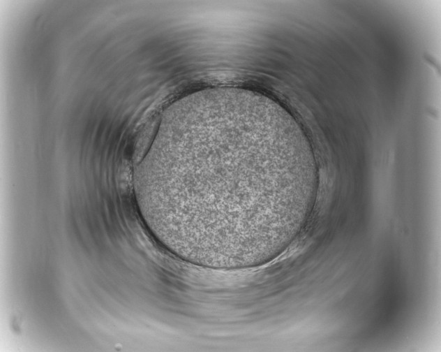 X0000101440048200807281032