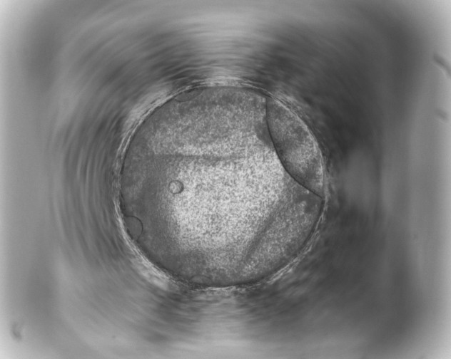 X0000101440049200807281031