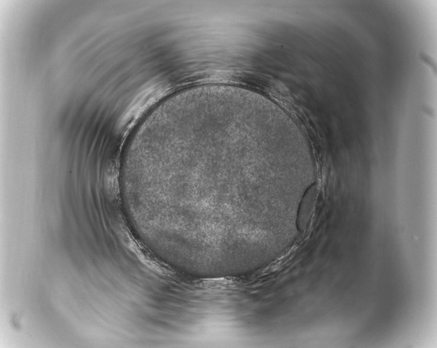 X0000101440050200807281031