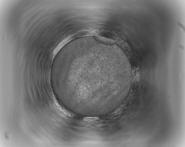 X0000101440051200807281032