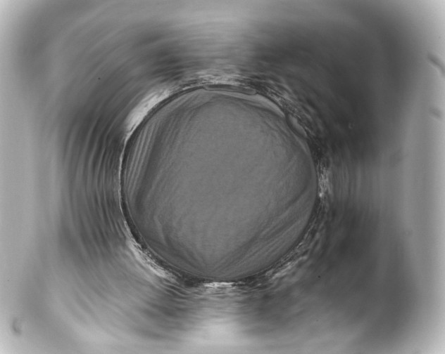 X0000101440052200807281032