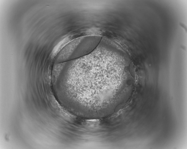 X0000101440053200807281032