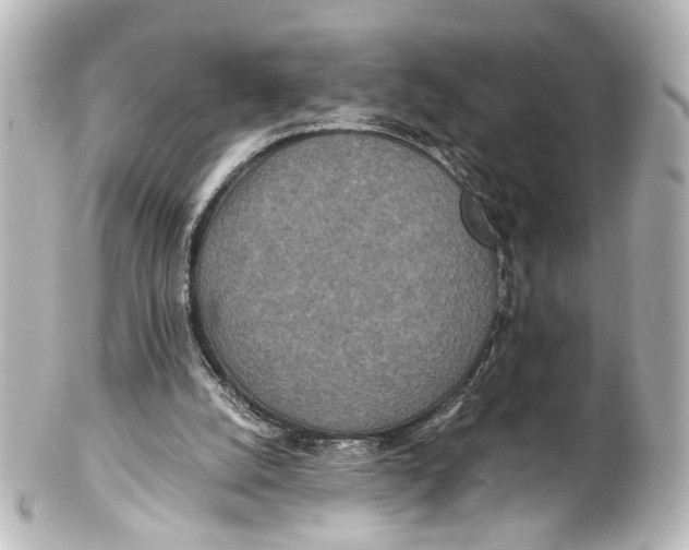 X0000101440056200807281032