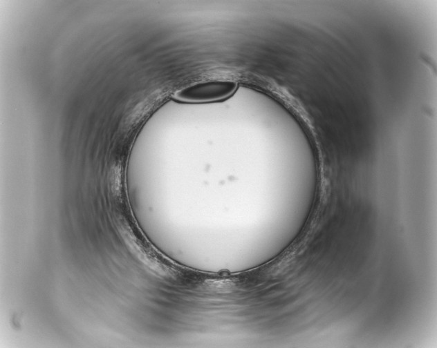 X0000101440057200807281032