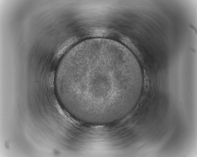 X0000101440058200807281032