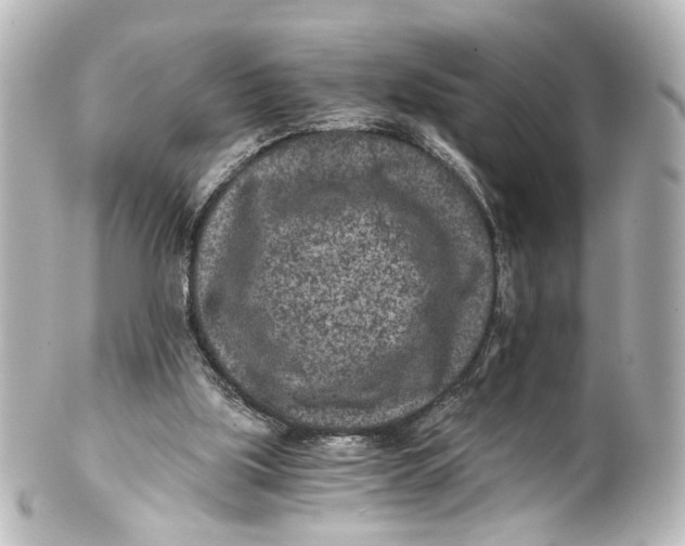 X0000101440059200807281032