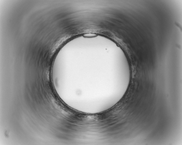 X0000101440060200807281032