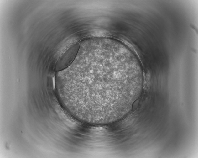 X0000101440061200807281032