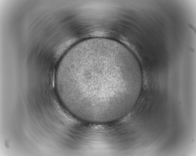 X0000101440062200807281032