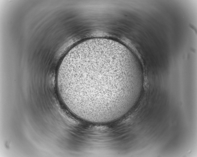 X0000101440063200807281032