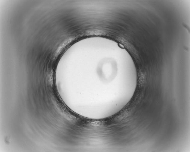 X0000101440064200807281032