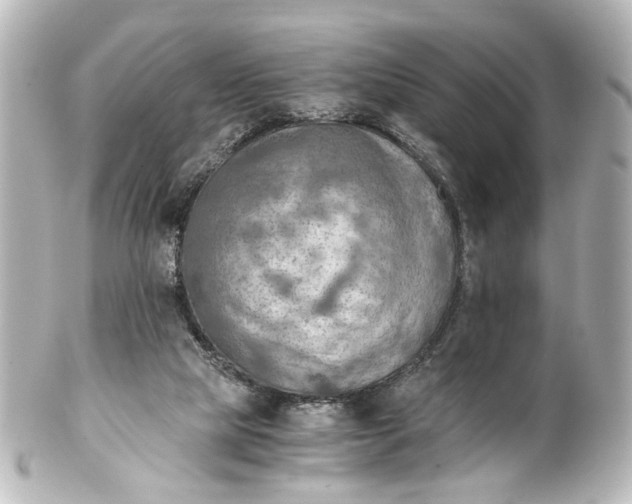 X0000101440065200807281032