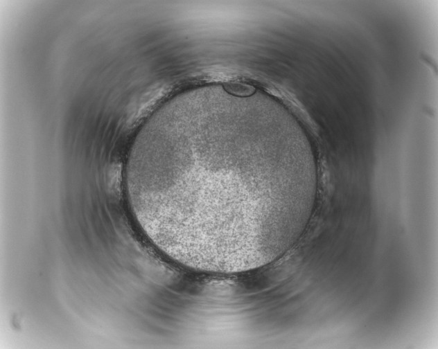 X0000101440066200807281032