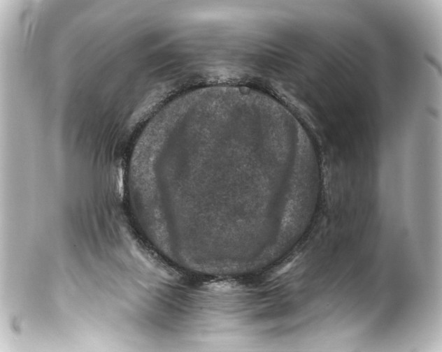 X0000101440067200807281032