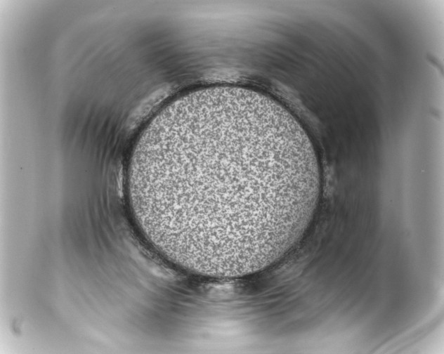 X0000101440068200807281032