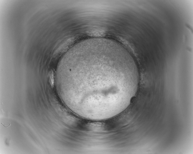 X0000101440069200807281032