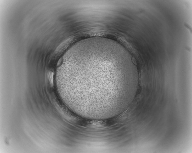 X0000101440070200807281032