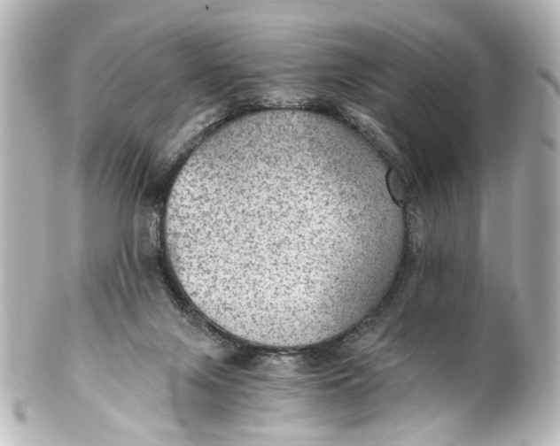 X0000101440071200807281032