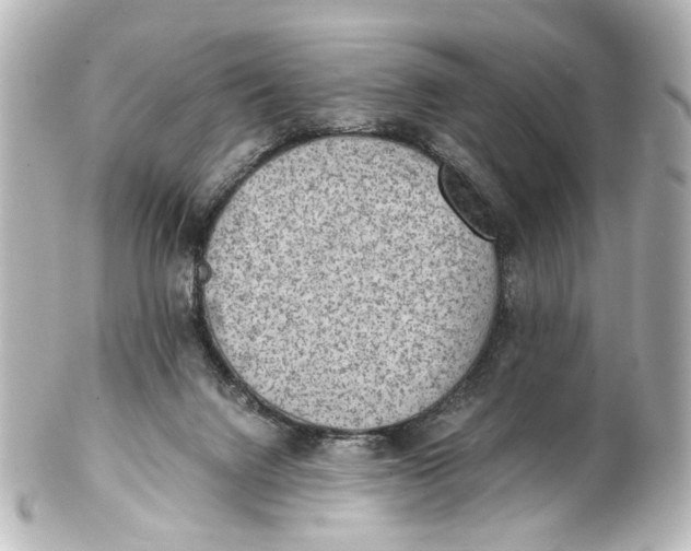 X0000101440072200807281032