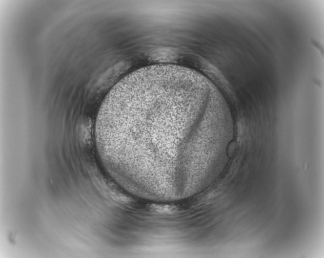 X0000101440073200807281032