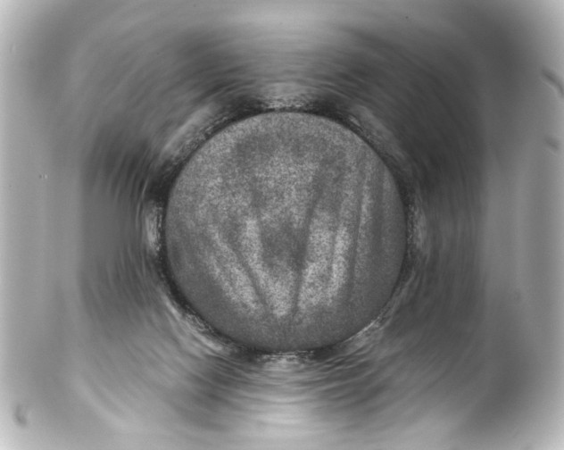 X0000101440074200807281032