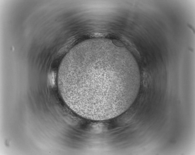 X0000101440075200807281032