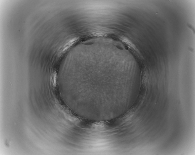 X0000101440076200807281032