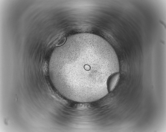 X0000101440077200807281032