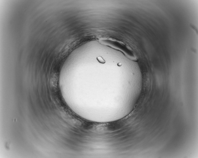 X0000101440078200807281032