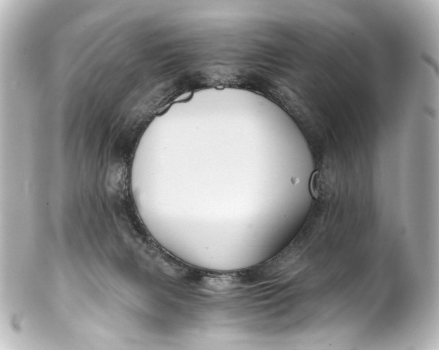 X0000101440079200807281032