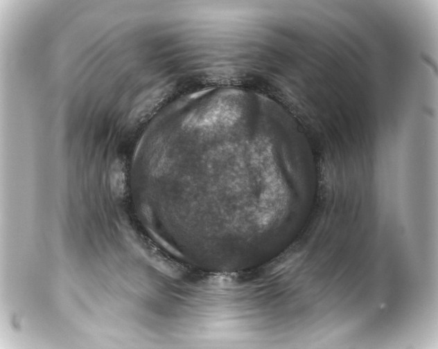 X0000101440080200807281032