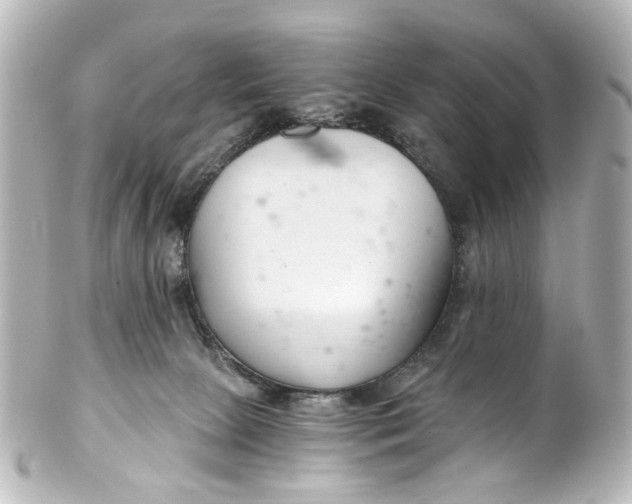 X0000101440081200807281032