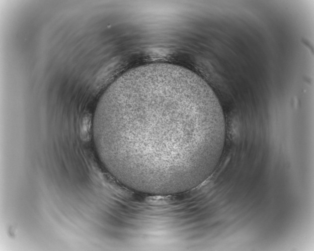 X0000101440082200807281032