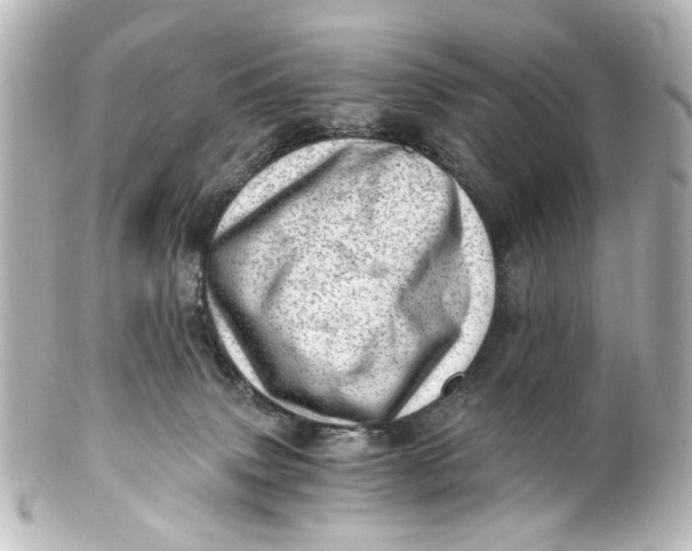 X0000101440083200807281032