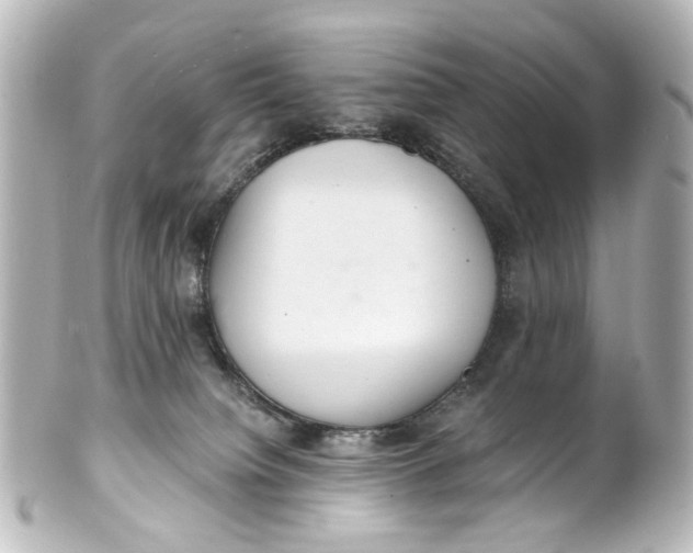 X0000101440084200807281032