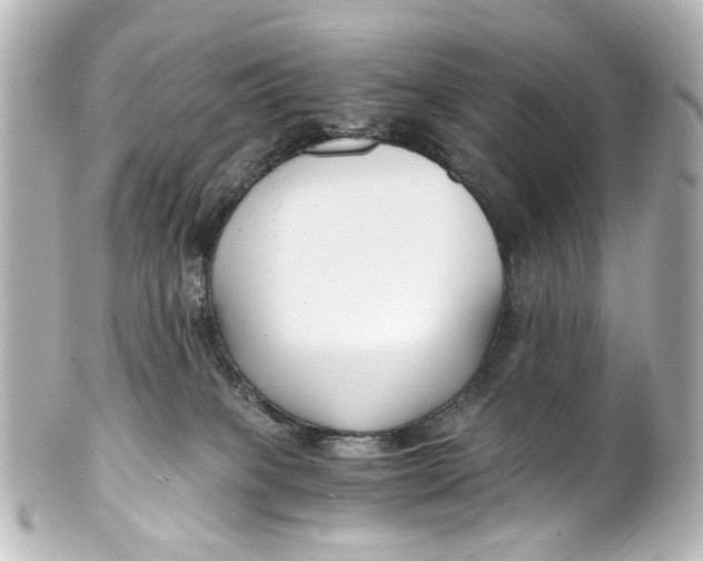 X0000101440085200807281032