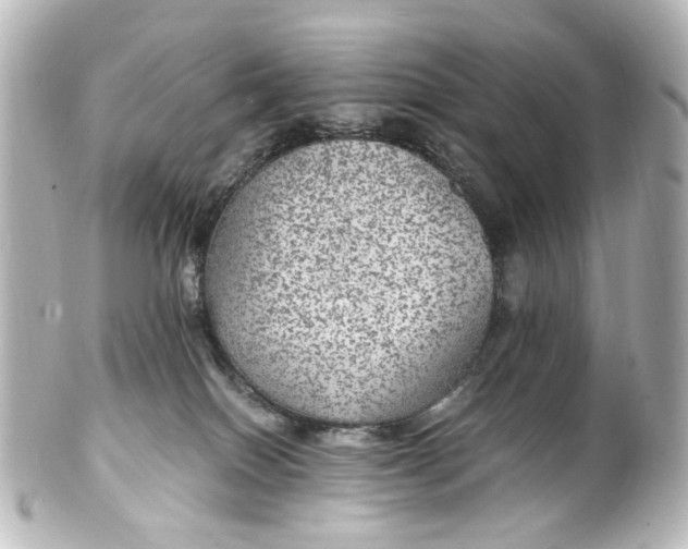 X0000101440086200807281032