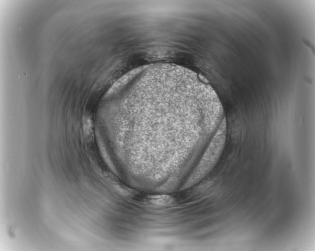 X0000101440087200807281032