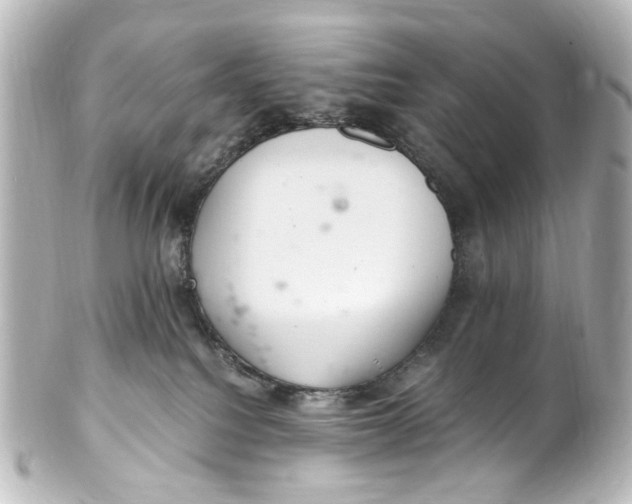 X0000101440088200807281032